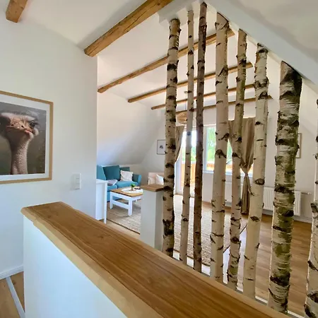 Apartamento Straussenblick Dachgeschoss - Keine Monteure *