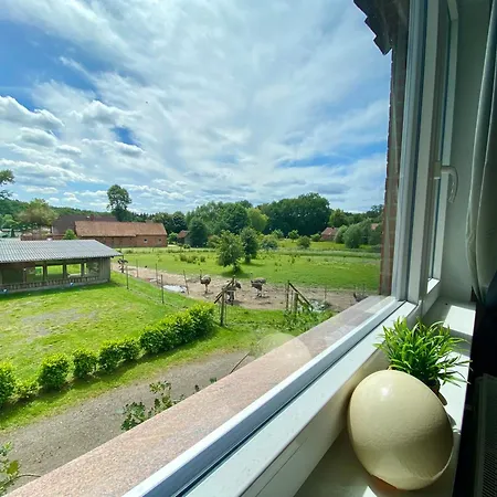 Straussenblick Dachgeschoss - Keine Monteure *