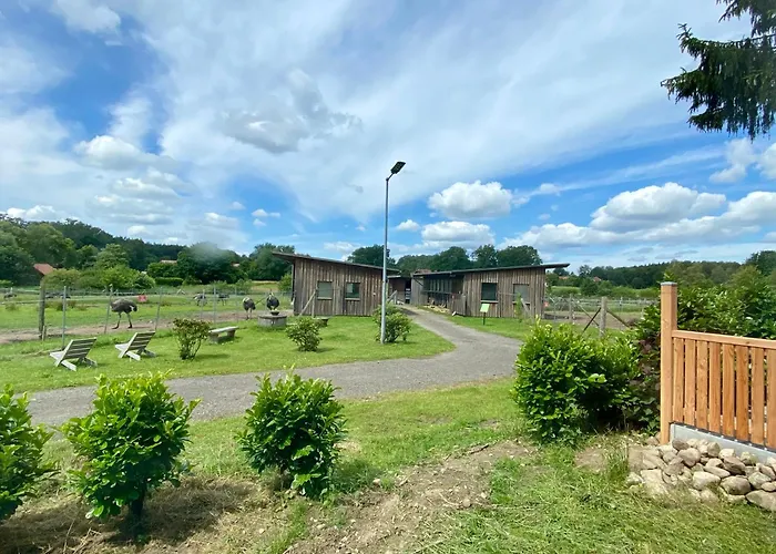 Straussenblick Dachgeschoss - Keine Monteure Бад-Фаллингбостель