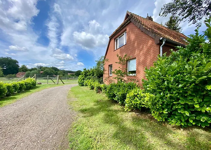 Straussenblick Dachgeschoss - Keine Monteure